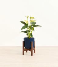 Load image into Gallery viewer, Twilight Blue stand:walnut