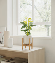 Load image into Gallery viewer, Cotton White stand:walnut