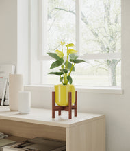 Load image into Gallery viewer, Key Lime Yellow stand:walnut
