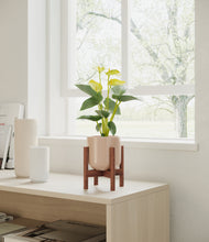 Load image into Gallery viewer, Sandy Pink stand:walnut