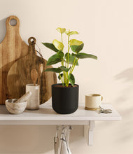 Load image into Gallery viewer, Stone Black