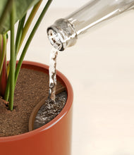 Load image into Gallery viewer, -