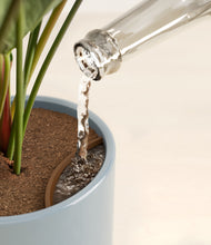 Load image into Gallery viewer, -