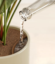 Load image into Gallery viewer, -