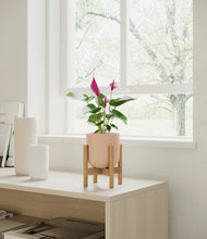 Load image into Gallery viewer, Sandy Pink stand:bamboo