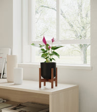 Load image into Gallery viewer, Stone Black stand:walnut