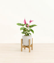 Load image into Gallery viewer, Hammered Ivory stand:bamboo