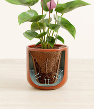 Load image into Gallery viewer, Glossy Red stand:all