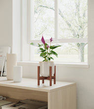 Load image into Gallery viewer, Snowdrift White stand:walnut