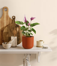 Load image into Gallery viewer, Earth Red