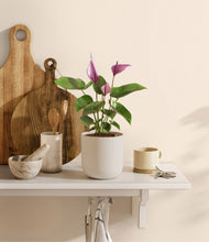 Load image into Gallery viewer, Natural Bamboo