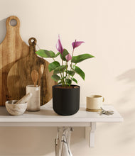 Load image into Gallery viewer, Stone Black