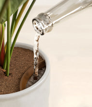 Load image into Gallery viewer, Hammered Ivory stand:all