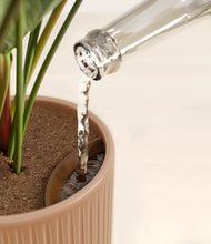 Load image into Gallery viewer, -