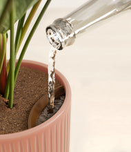 Load image into Gallery viewer, Striped Rose Pink stand:all