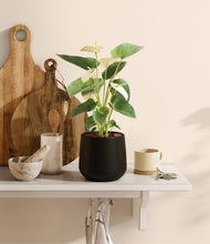 Load image into Gallery viewer, Black