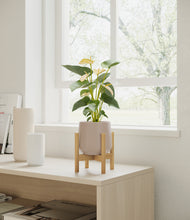 Load image into Gallery viewer, Eternal Gray stand:bamboo