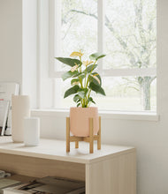 Load image into Gallery viewer, Gentle Pink stand:bamboo