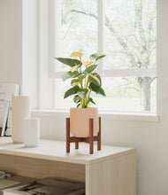 Load image into Gallery viewer, Gentle Pink stand:walnut