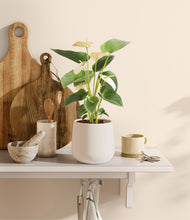 Load image into Gallery viewer, White