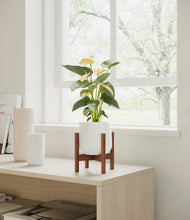 Load image into Gallery viewer, White stand:walnut