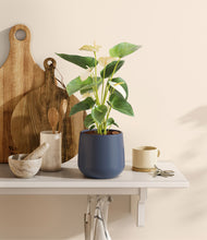 Load image into Gallery viewer, Deep Navy