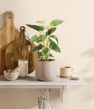 Load image into Gallery viewer, Eternal Gray