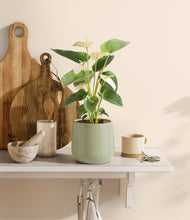 Load image into Gallery viewer, Turquoise