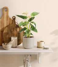 Load image into Gallery viewer, Cotton White