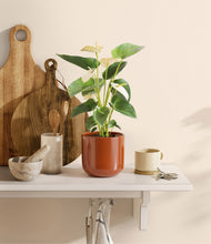 Load image into Gallery viewer, Glossy Red