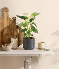 Load image into Gallery viewer, Iron Gray