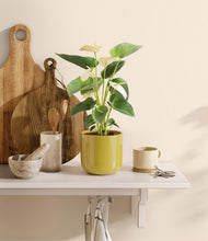 Load image into Gallery viewer, Key Lime Yellow