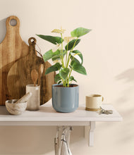 Load image into Gallery viewer, Misty Blue