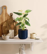 Load image into Gallery viewer, Twilight Blue