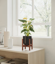 Load image into Gallery viewer, Stone Black stand:walnut