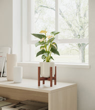 Load image into Gallery viewer, Cotton White stand:bamboo