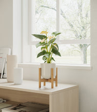 Load image into Gallery viewer, Cotton White stand:walnut