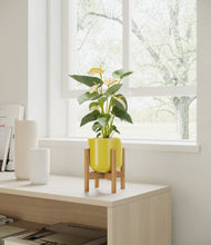 Load image into Gallery viewer, Key Lime Yellow stand:bamboo