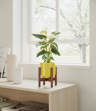 Load image into Gallery viewer, Key Lime Yellow stand:walnut