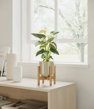 Load image into Gallery viewer, Sage Green stand:bamboo