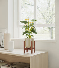 Load image into Gallery viewer, Sage Green stand:walnut