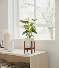 Load image into Gallery viewer, Natural Bamboo stand:walnut