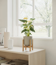 Load image into Gallery viewer, Sage Green stand:bamboo