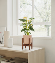 Load image into Gallery viewer, Sandy Pink stand:walnut