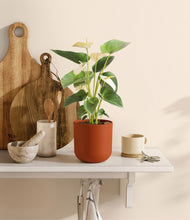 Load image into Gallery viewer, Earth Red