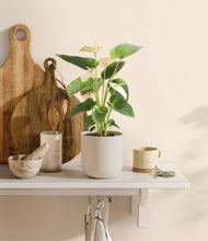 Load image into Gallery viewer, Natural Bamboo