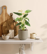 Load image into Gallery viewer, Sage Green