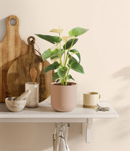 Load image into Gallery viewer, Sandy Pink