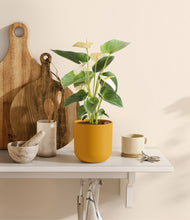 Load image into Gallery viewer, Sunset Orange