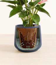 Load image into Gallery viewer, Deep Navy stand:all